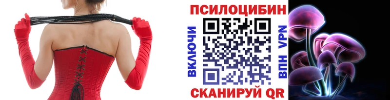 Псилоцибиновые грибы Psilocybe  Купить  Каменка 